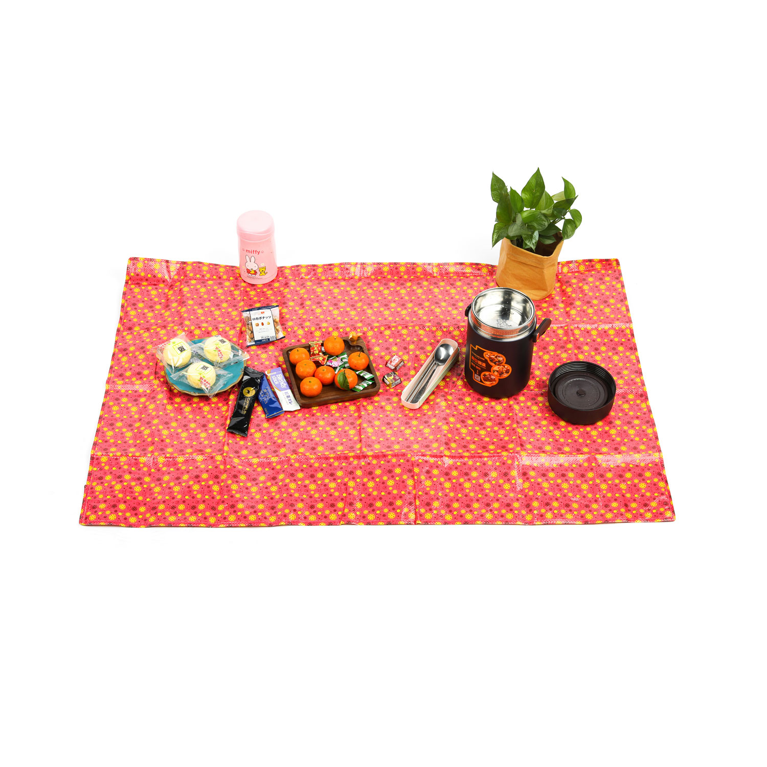 Portable Foldable PP Woven Laminated Outdoor Picnic Mat