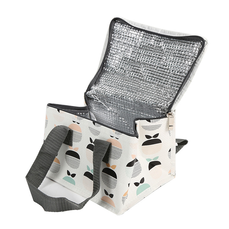 China Manufacturer Wine Cooler Bags Lunch Thermal Insulation Fabric for Cooler Bags details