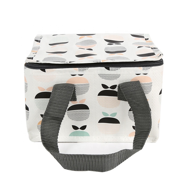 Promotional Foldable Cooler Bag Thermal Lunch Container to Keep Food Warm or Cool Made From PP Non Woven Material factory