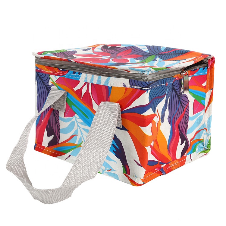 China Manufacturer Wine Cooler Bags Lunch Thermal Insulation Fabric for Cooler Bags details