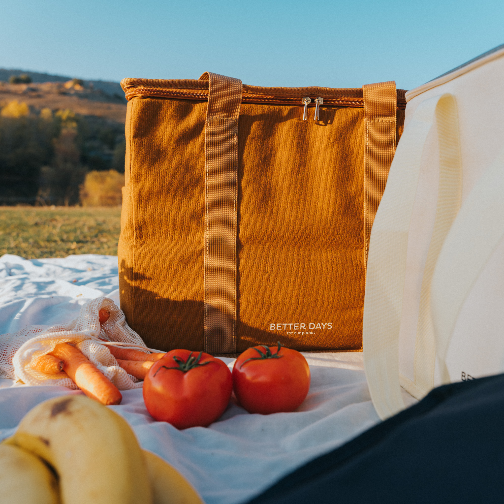 Custom Logo Shoulder Lunch Insulated Cooler Bag Beach Waterproof Cooler Tote Bag for Outdoor Sports factory